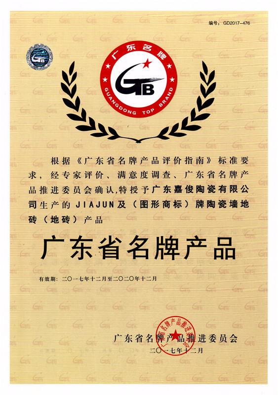 广东省名牌成人91免费视频（地砖）